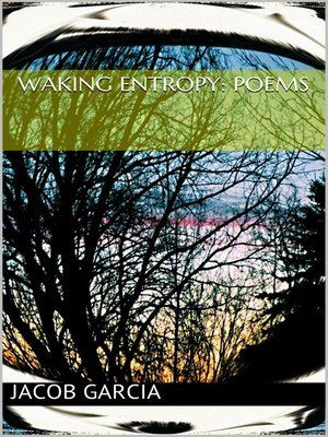 cover image of Waking Entropy